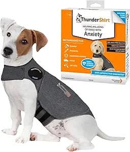ThunderShirt anxiety vest